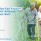 Family supporting elderly loved one at home